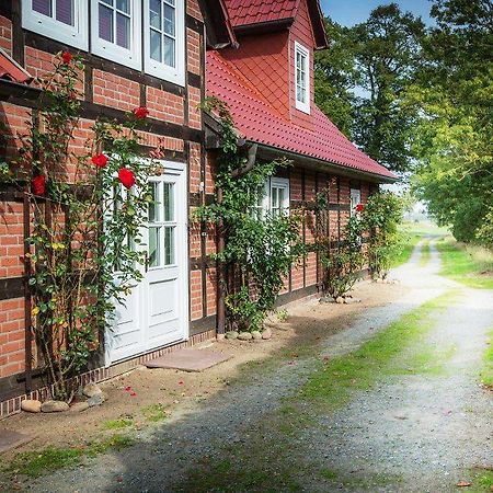 Landhaus Elbeflair Apartment Bei Doemitz Lenzerwische Buitenkant foto
