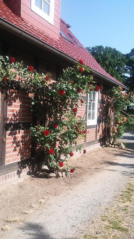 Landhaus Elbeflair Apartment Bei Doemitz Lenzerwische Buitenkant foto